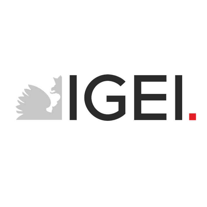 IGEI